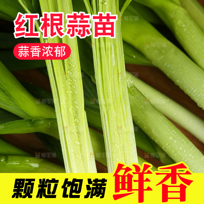 木底上放着大蒜苗