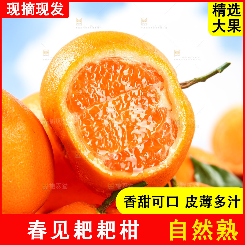 一堆新鲜耙耙柑