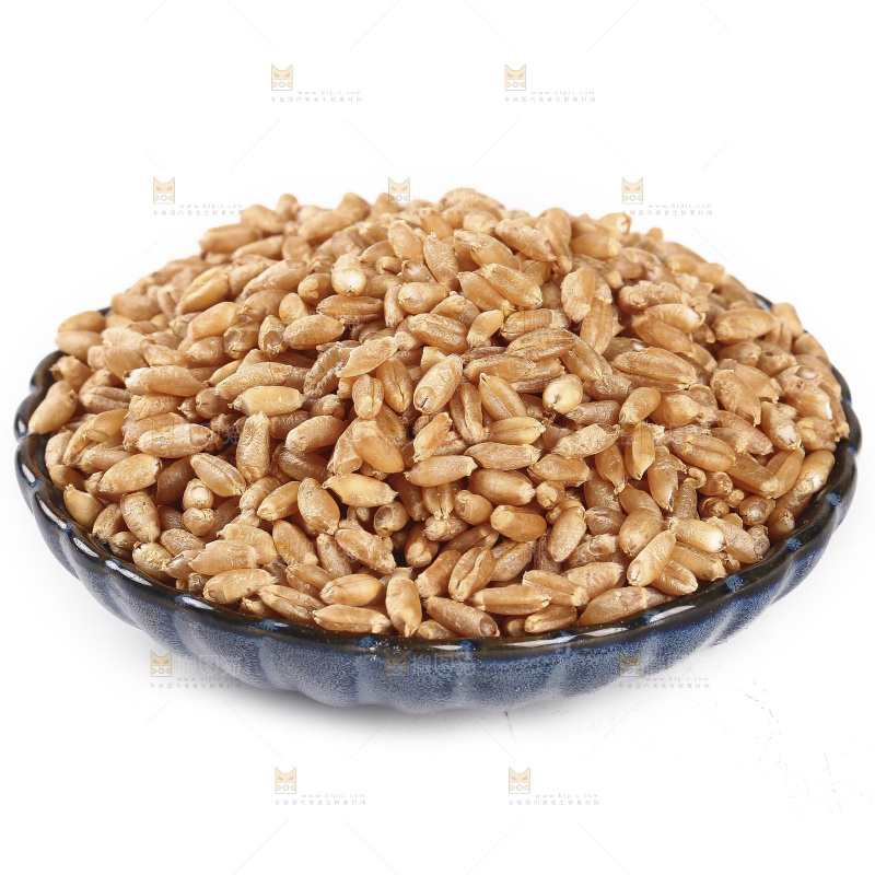 白底上放着一碗小麦