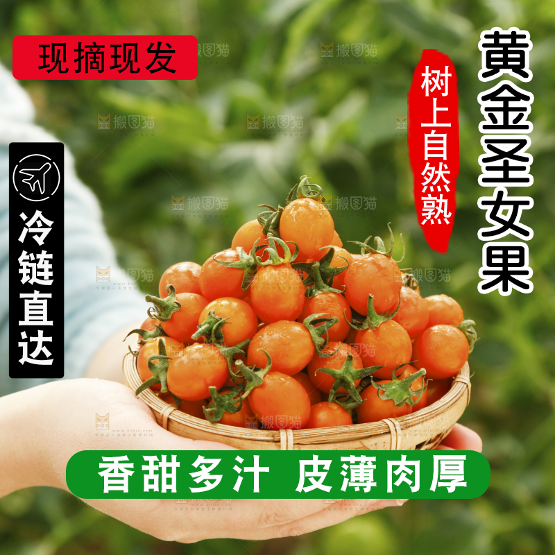 手里捧着一篮子黄金圣女果