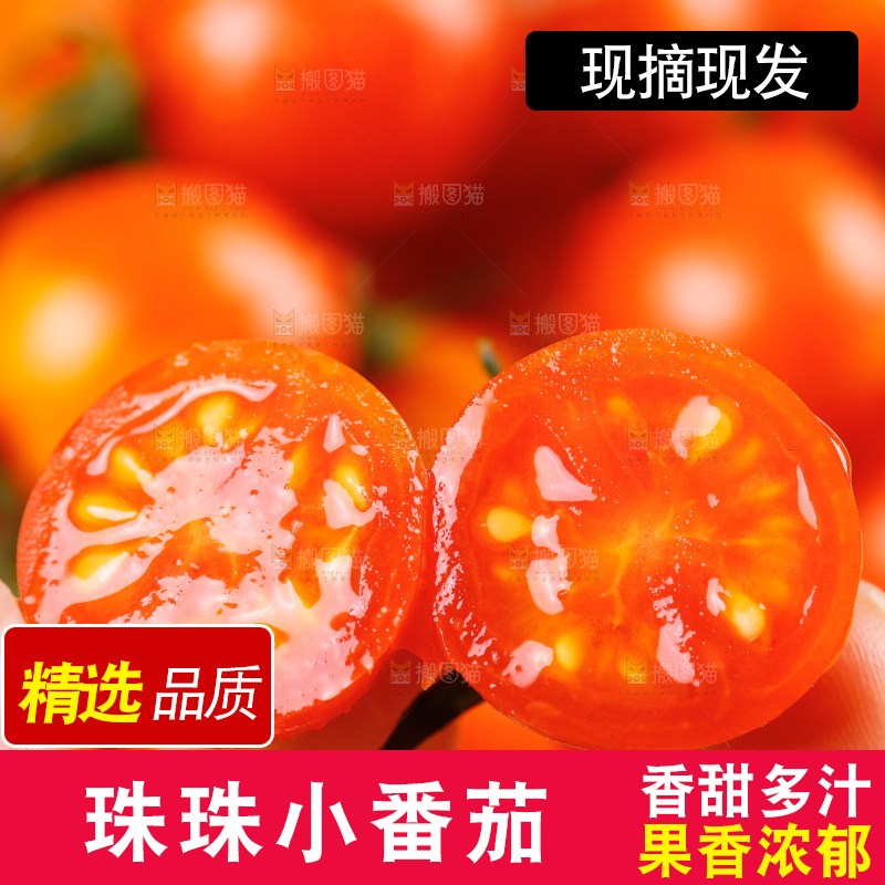 手里拿着新鲜小番茄