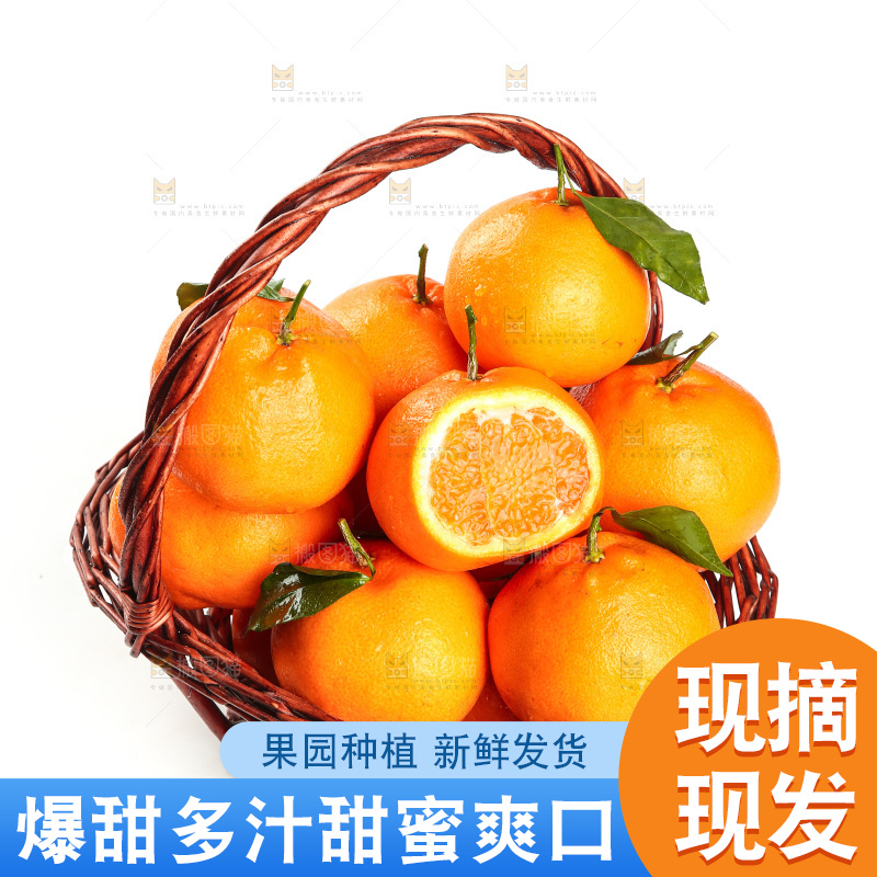 白底上放着一篮四川耙耙柑