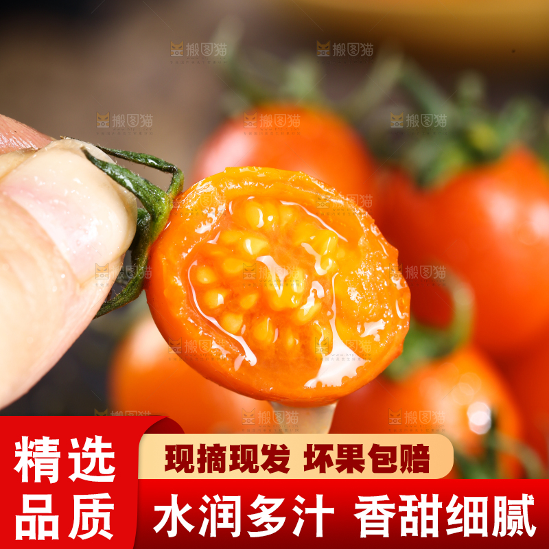 手里拿着新鲜小番茄