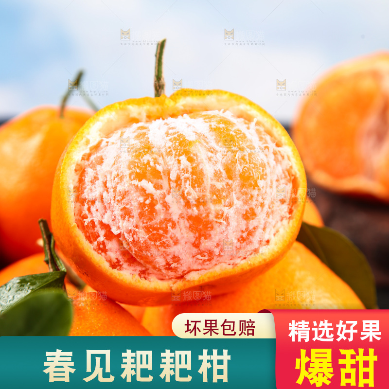 篮子里的四川春见耙耙柑
