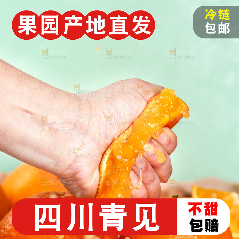 手里爆汁的青见
