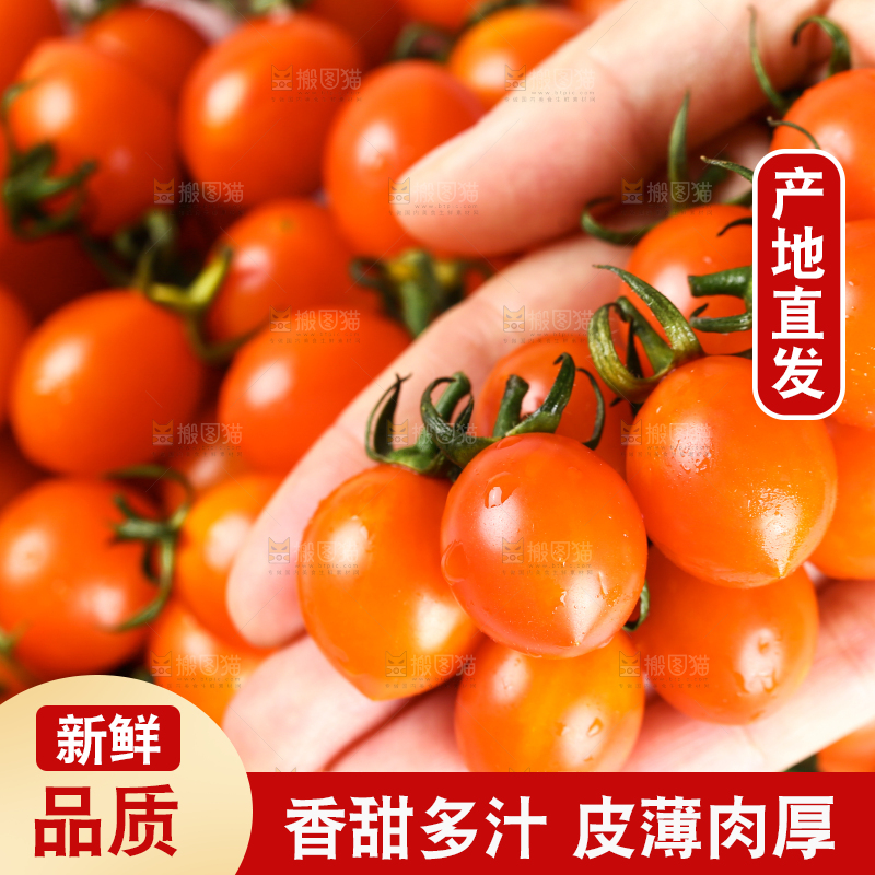 手里拿着珠珠小番茄