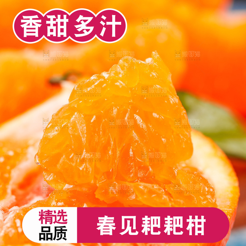 耙耙柑果肉特写
