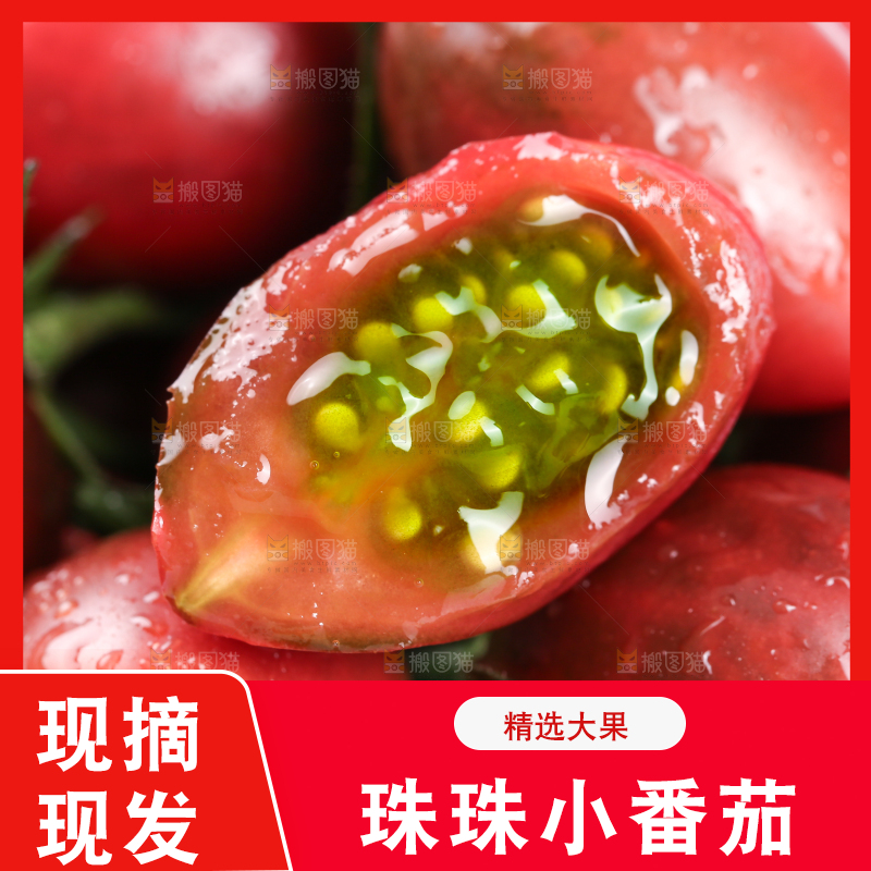 一堆珠珠小番茄