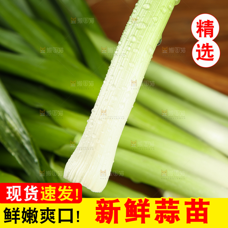 新鲜的蒜苗