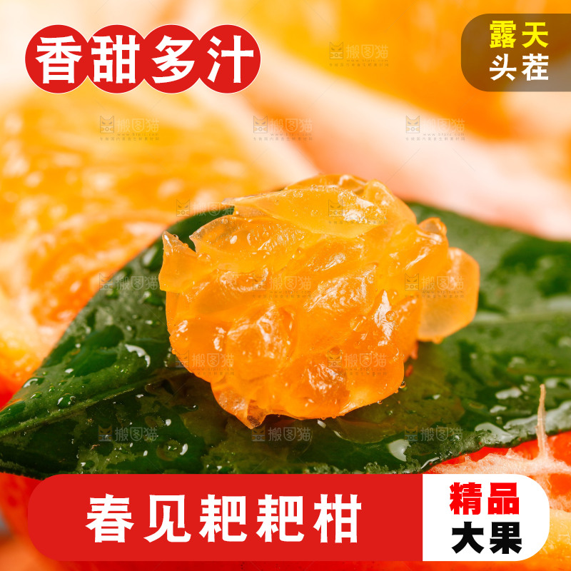 耙耙柑果肉特写