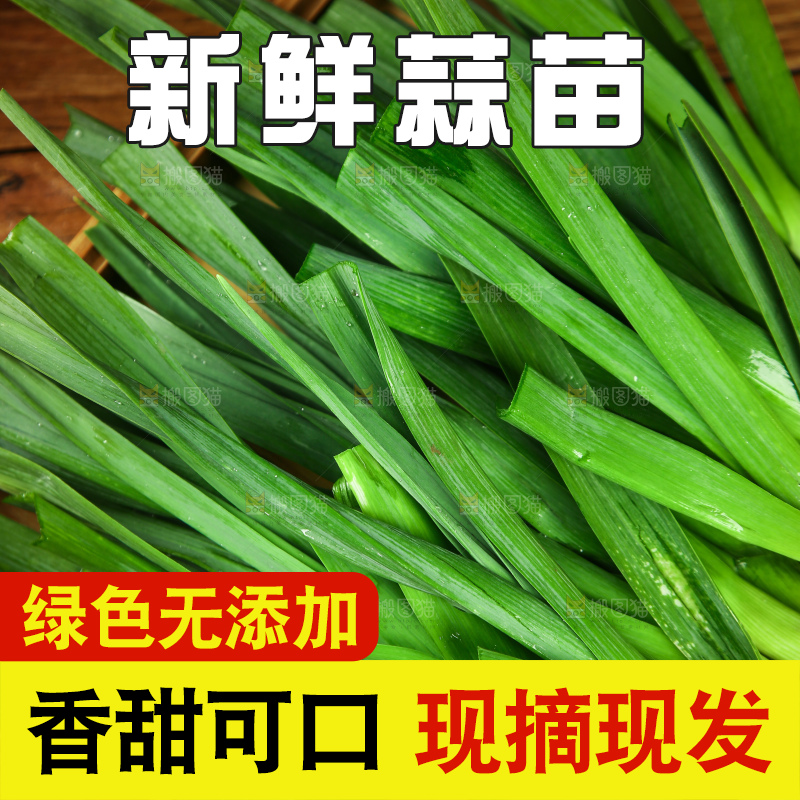 盘子里的蒜苗