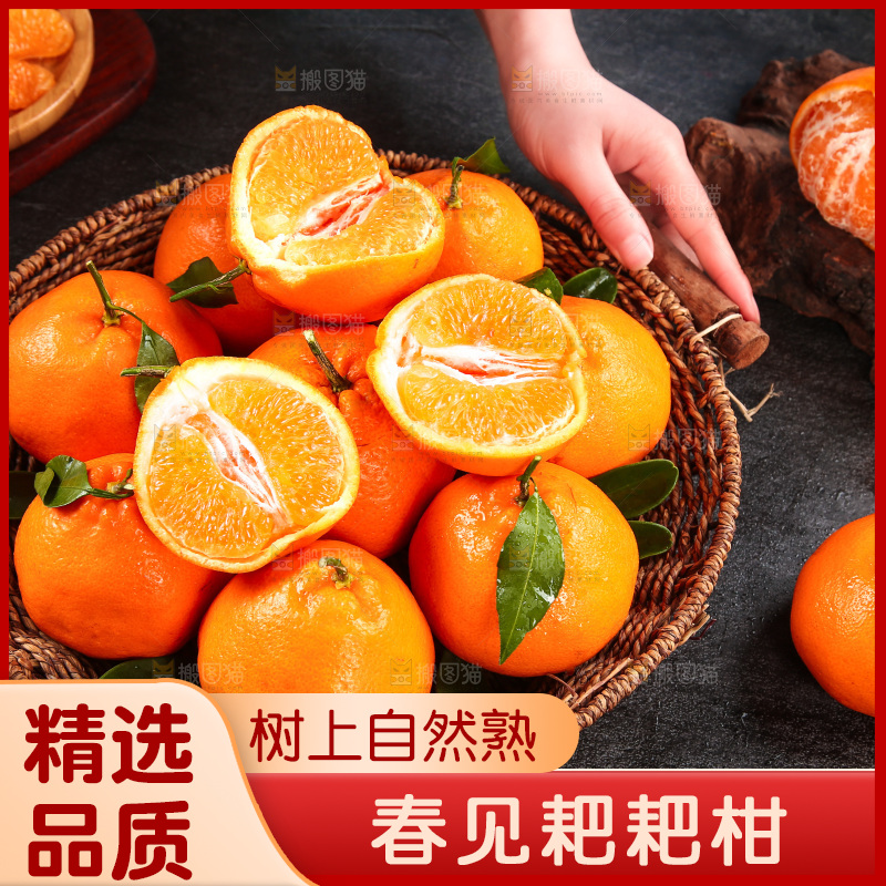 篮子里的新鲜耙耙柑