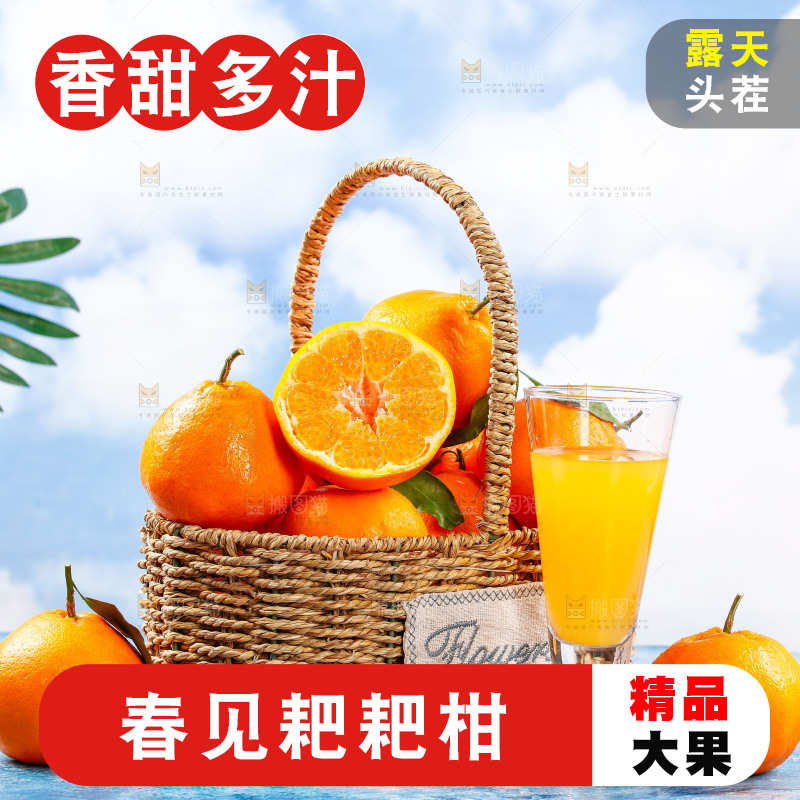 篮子里装着春见耙耙柑
