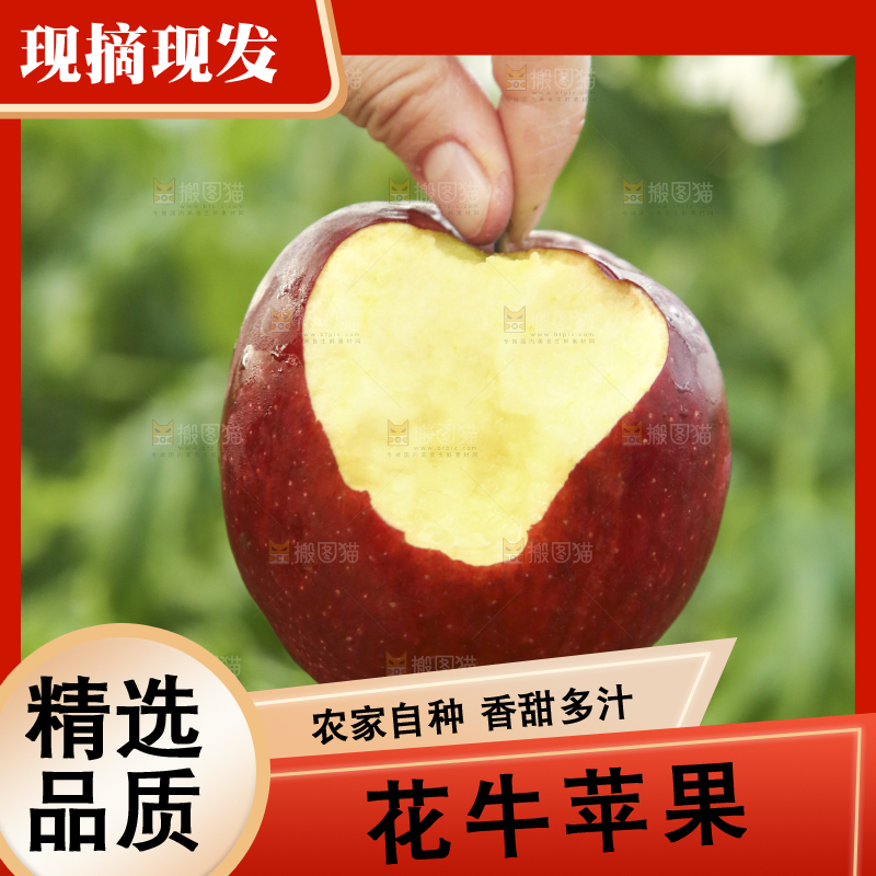 手里拿着花牛苹果