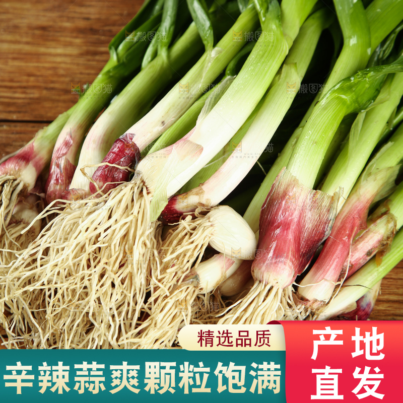 木底上放着一堆蒜苗