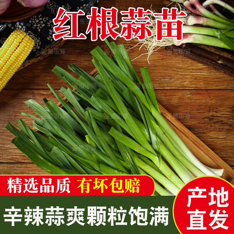 盘子里的蒜苗