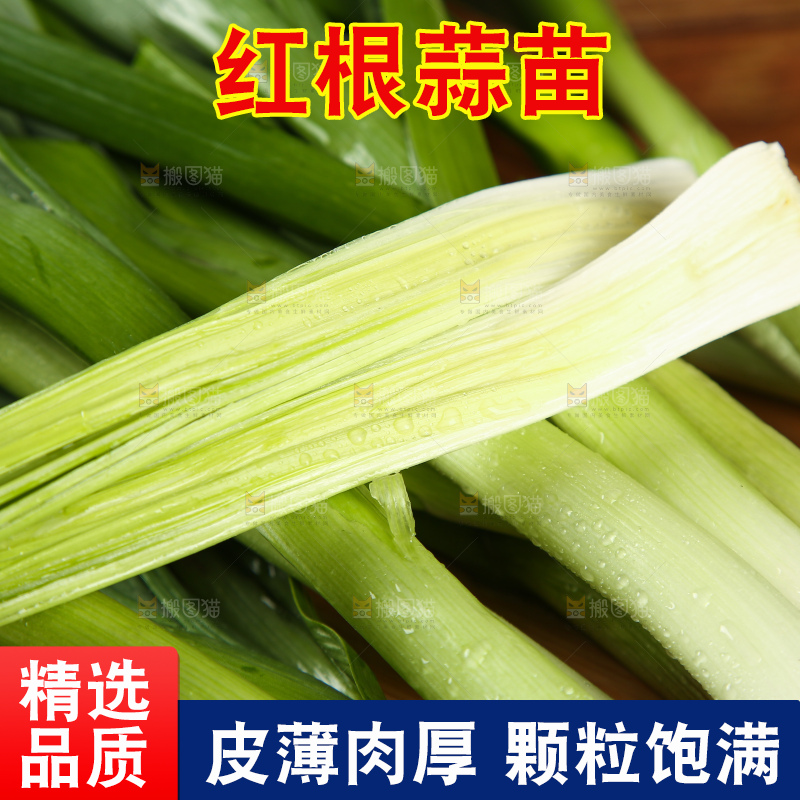 木底上放着大蒜苗