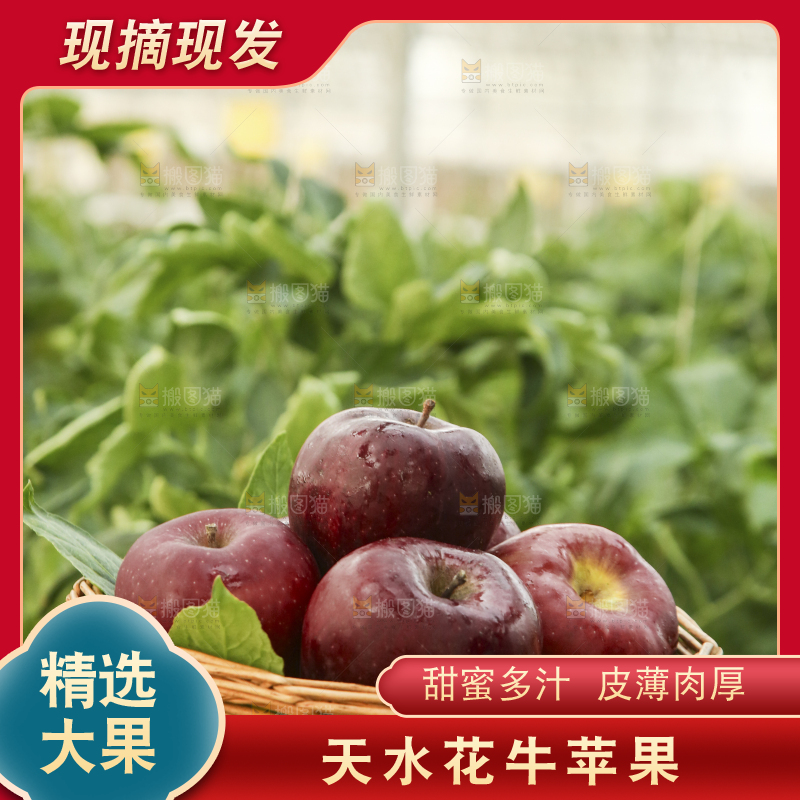 手里捧着一篮子花牛苹果