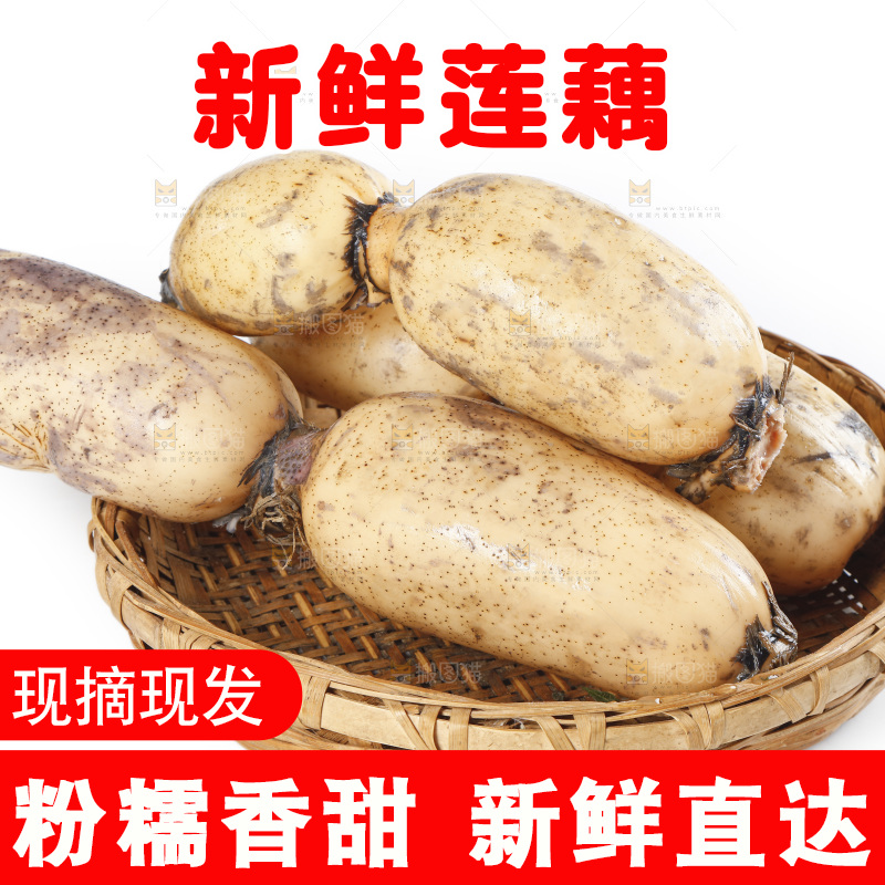 篮子里装着粉藕