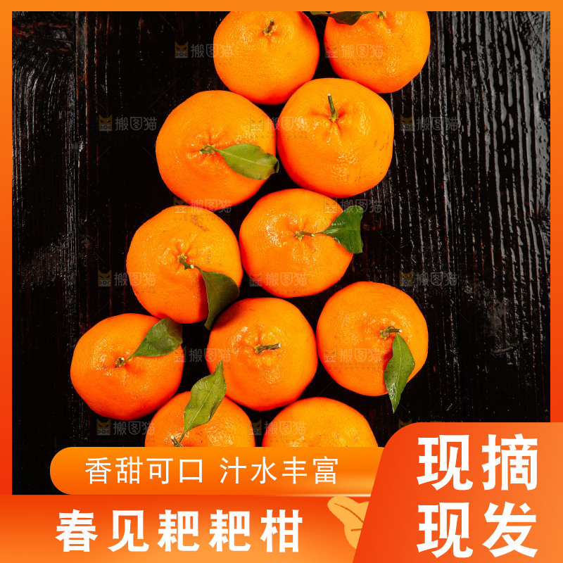 木底上的耙耙柑