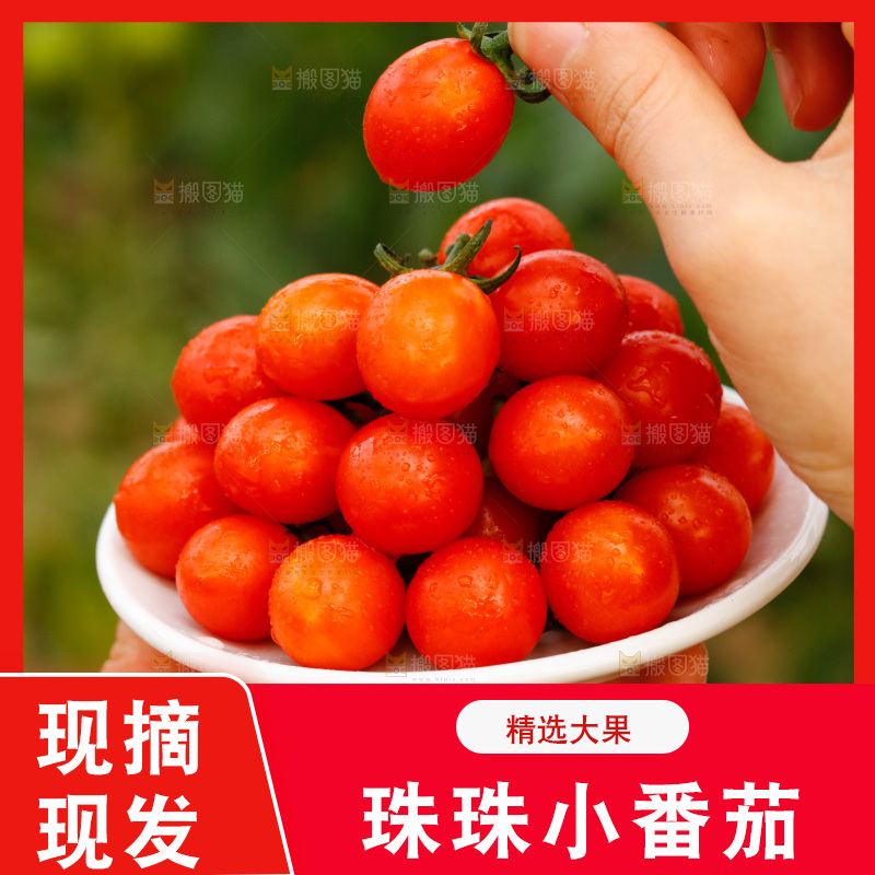 手里捧着一碟珍珠小番茄