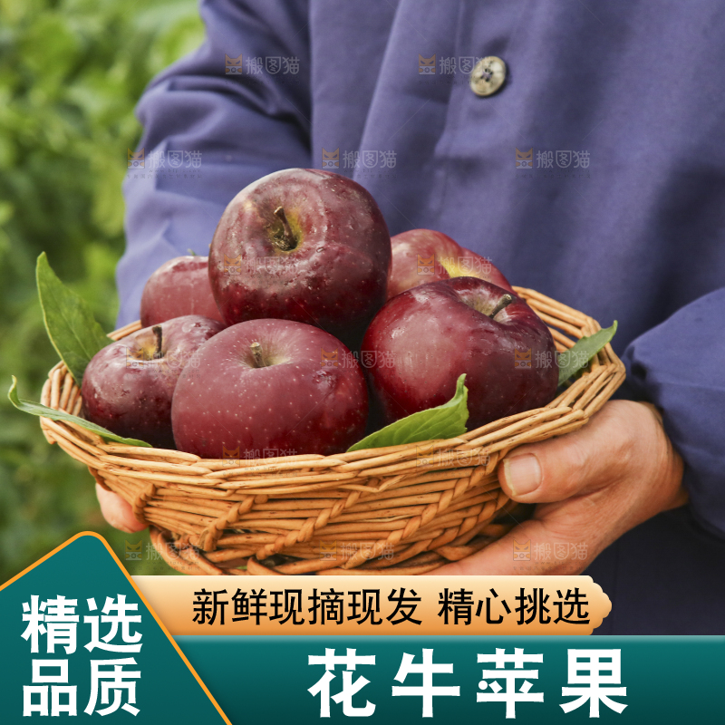 手里捧着一篮子花牛苹果