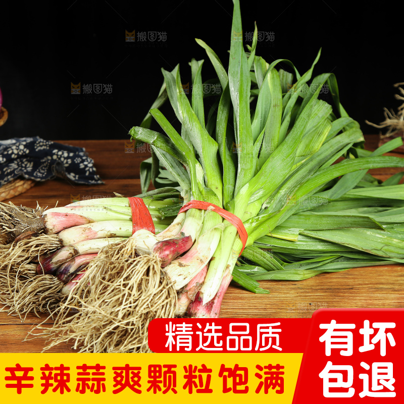 木底上放着蒜苗
