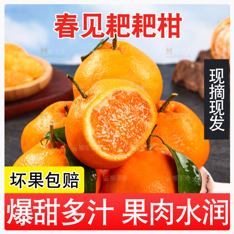 盘子里的四川春见耙耙柑