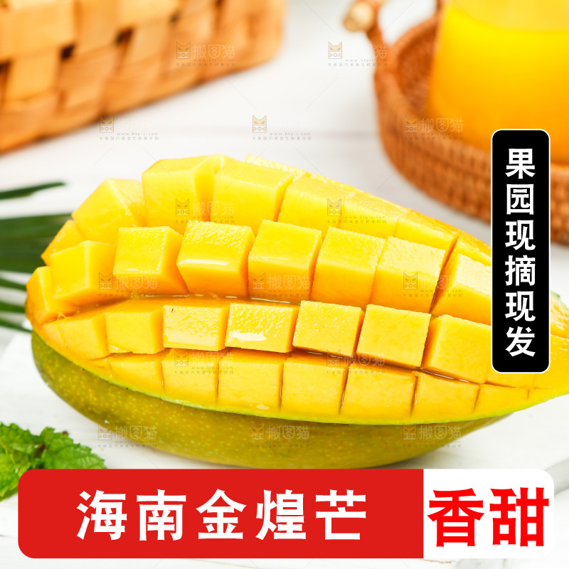 白底上放着金煌芒