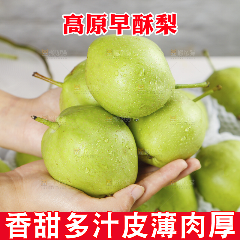 手上捧着早酥梨
