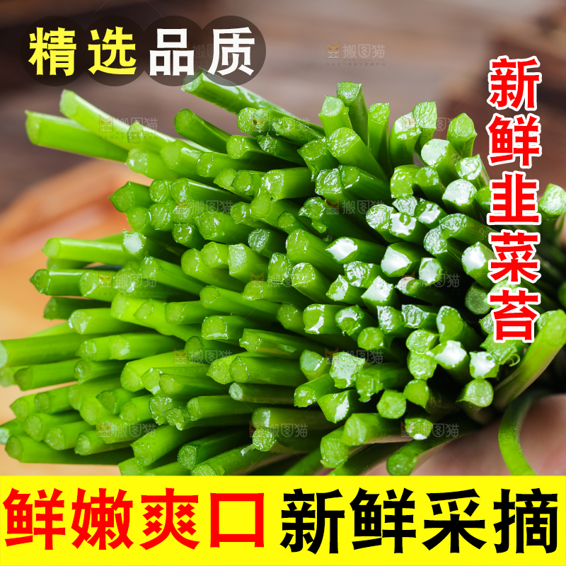 手拿着韭菜苔