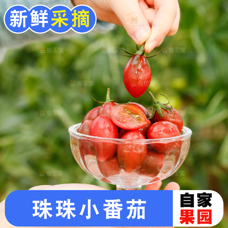 碟子里装着珍珠小番茄