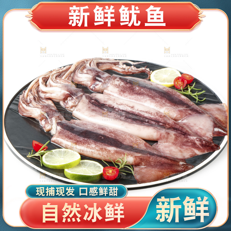 白底上放着一盘大鱿鱼