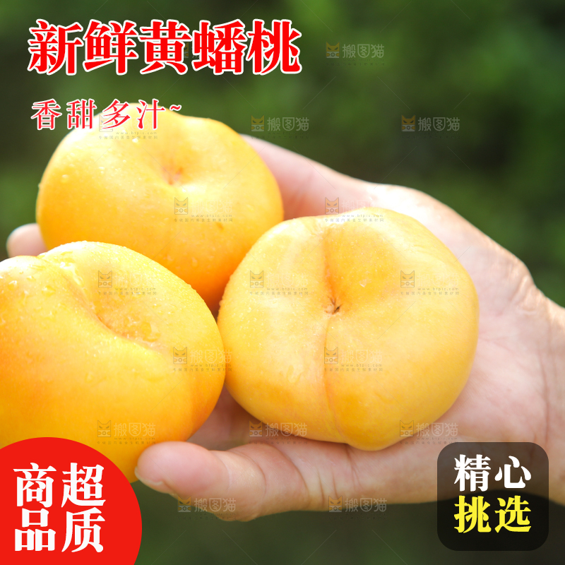 手拿着的黄油蟠桃