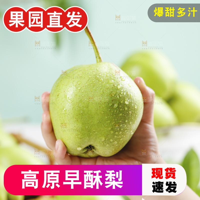 手上拿着早酥梨