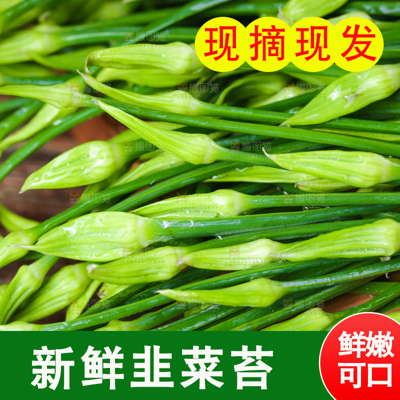 木底上放着韭苔