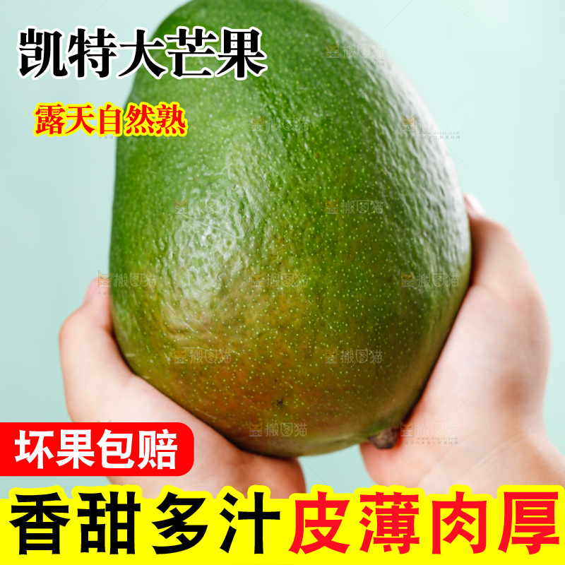 手上捧着凯特芒