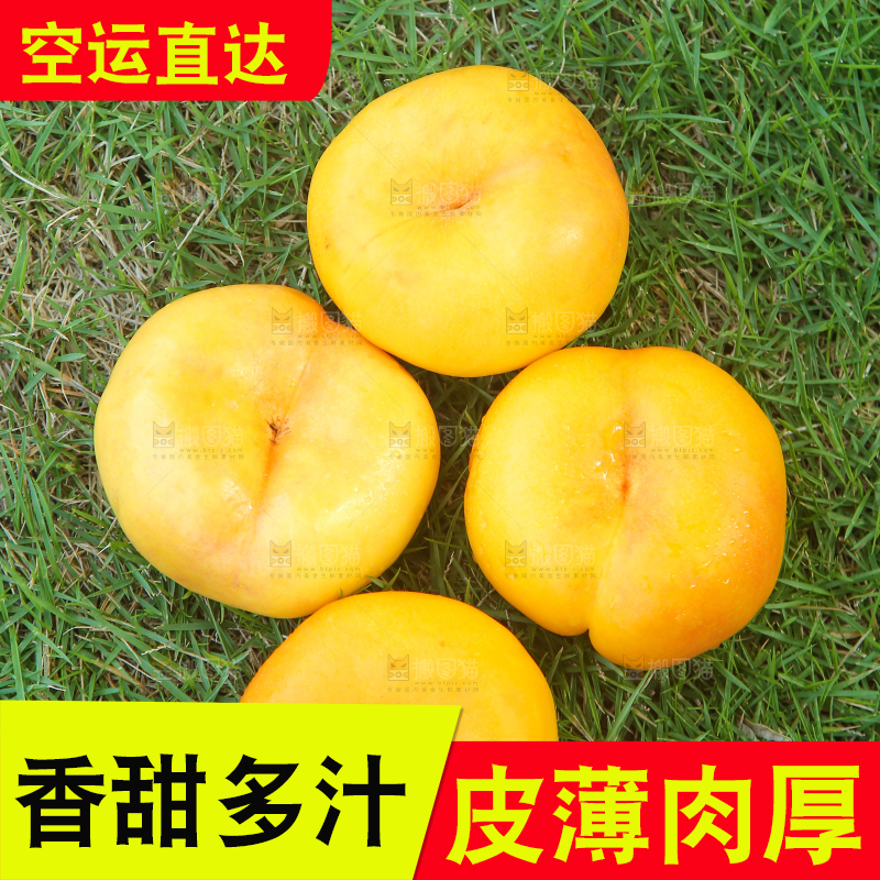 草坪上放着黄金蟠桃