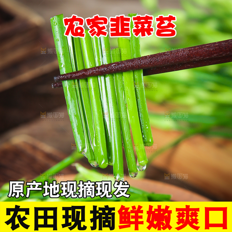 筷子夹着的韭苔