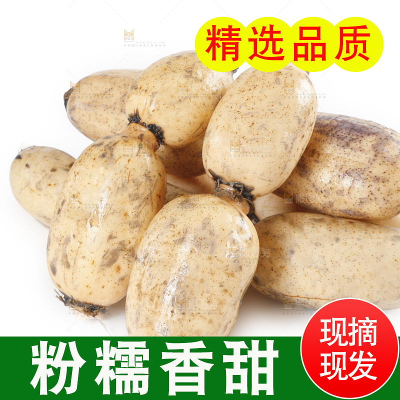 白底上放着一堆莲藕