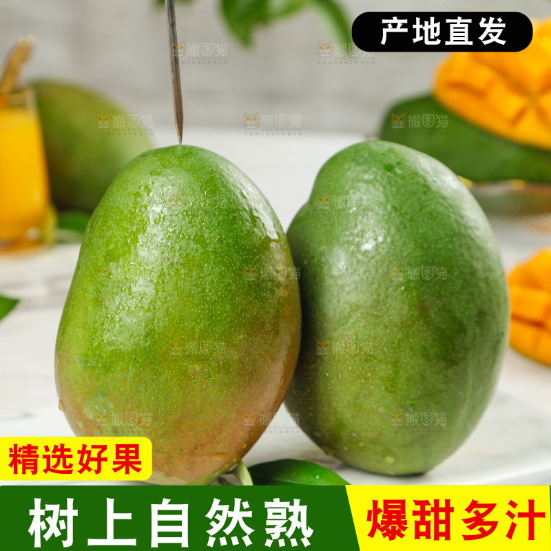 白底上放着凯特芒