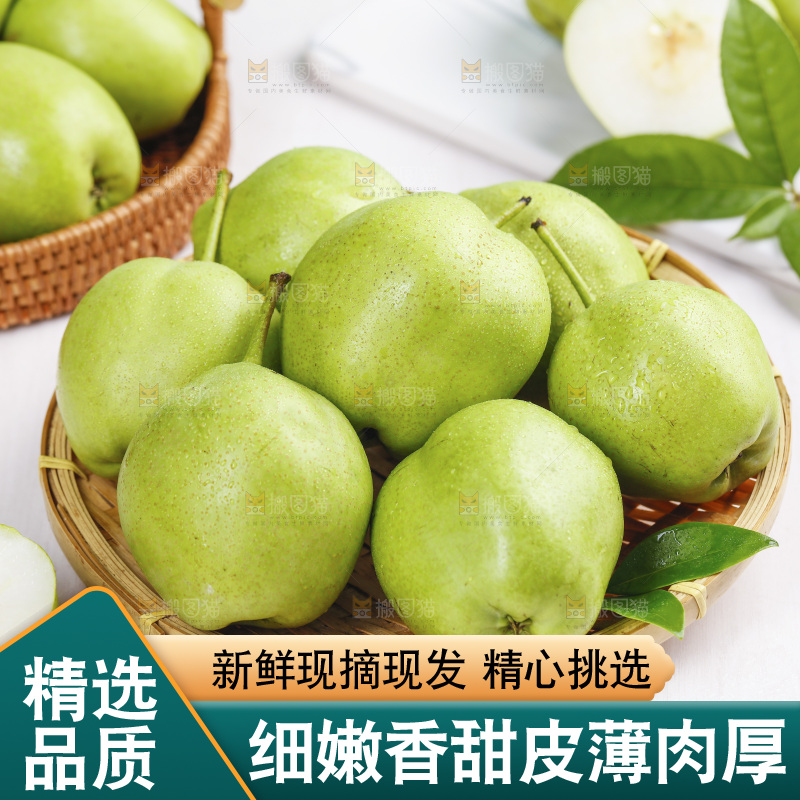 白底上放着一筐早酥梨