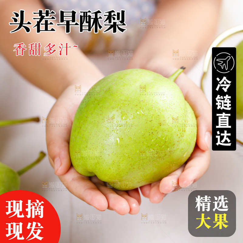 手上捧着早酥梨