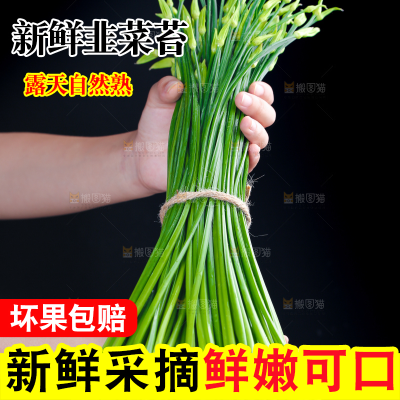 手上捧着韭苔