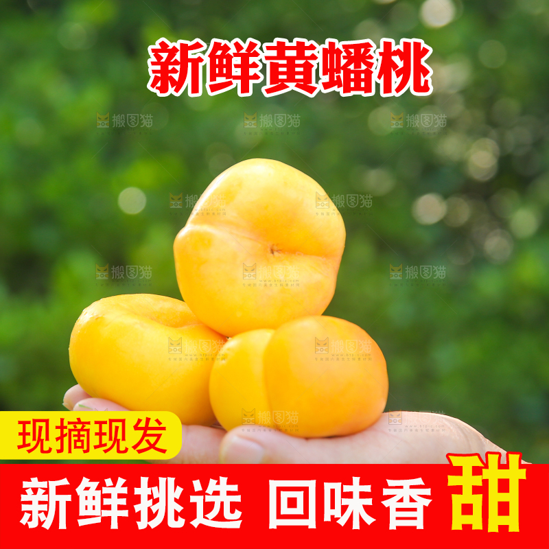 手里捧着的黄金油蟠桃