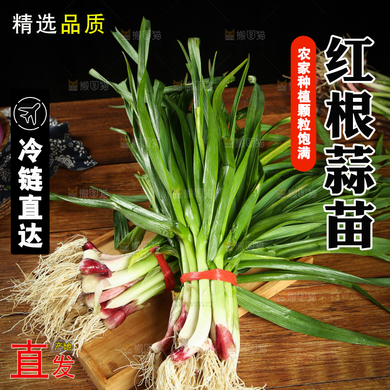 木底上放着蒜苗