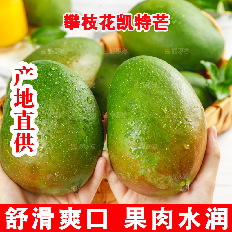 手上拿着凯特芒