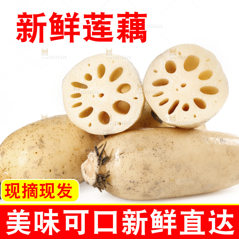 白底上的洪湖莲藕