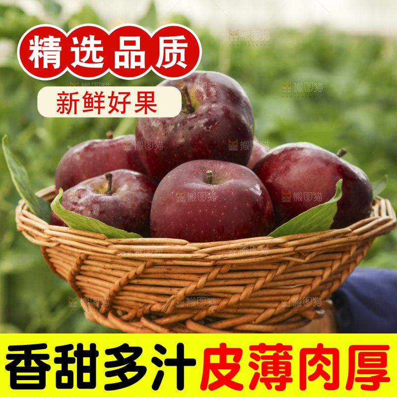 手里捧着一篮子花牛苹果