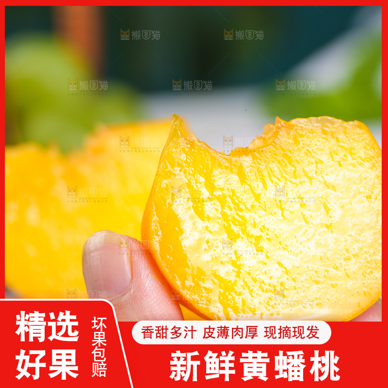 手上拿着的黄蟠桃果肉
